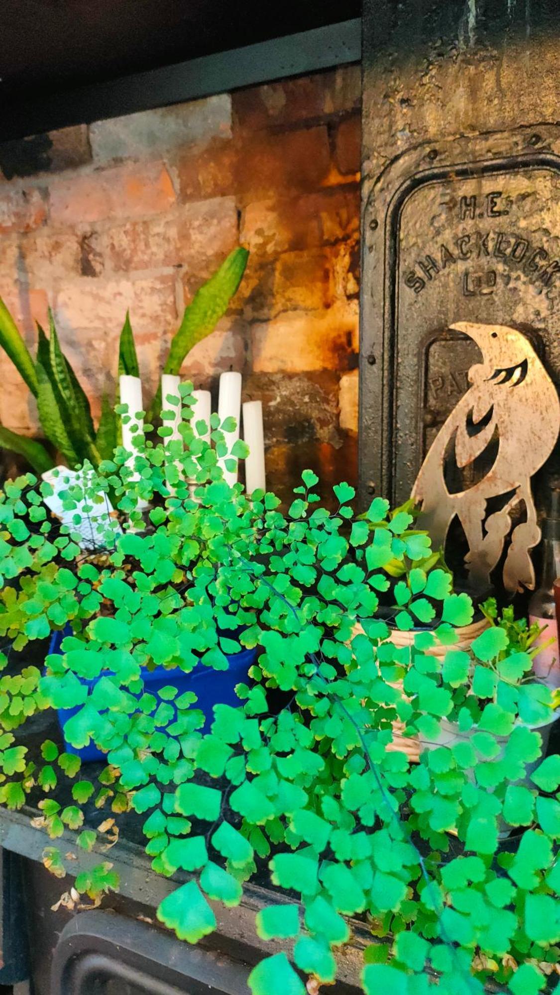 The Oaks- A Beautifully Appointed 1890S Villa Featherston エクステリア 写真